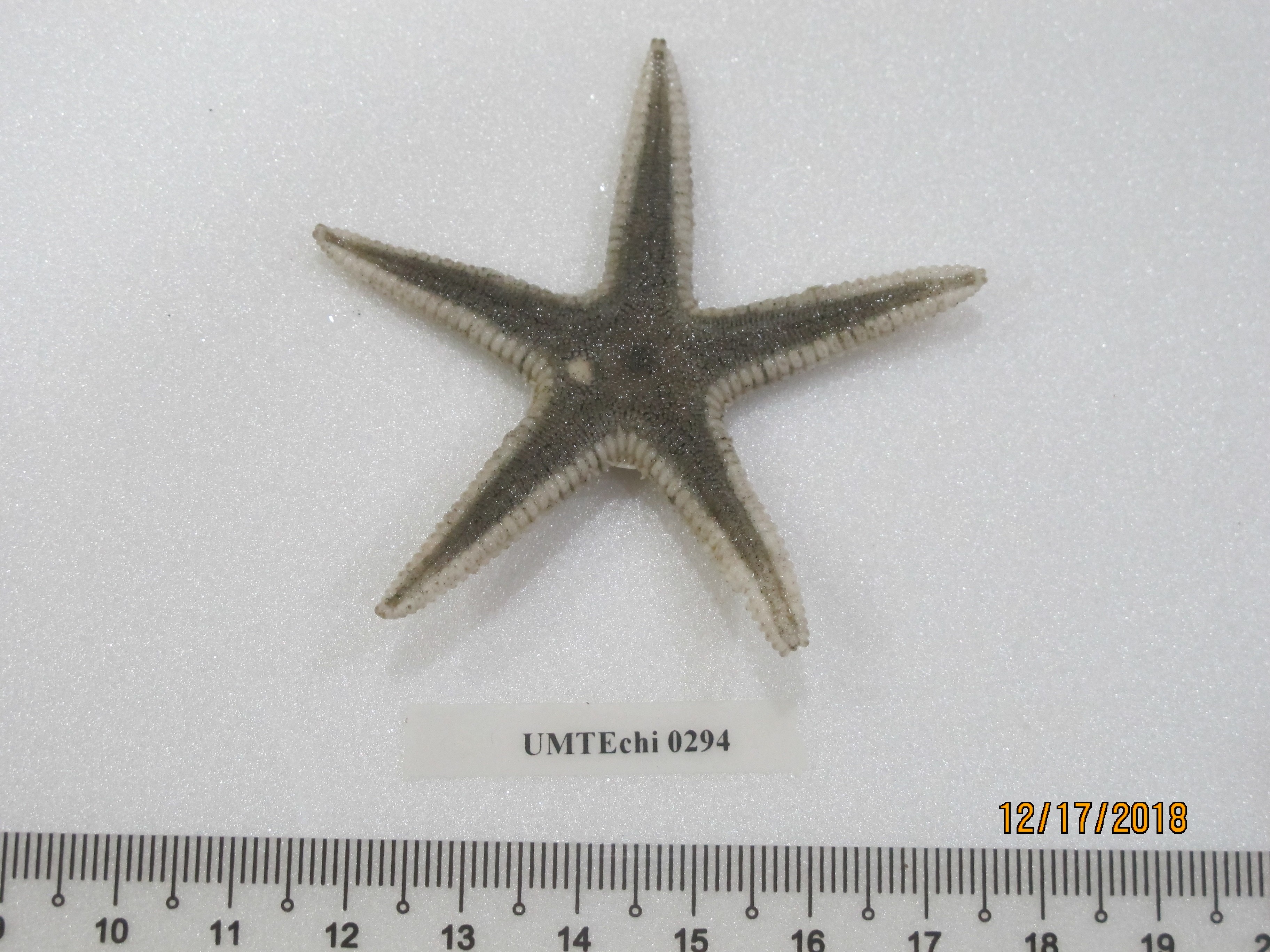 Specimen image